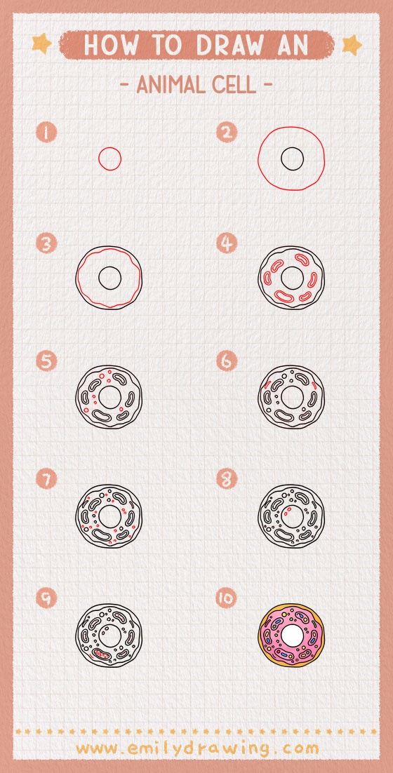 how to draw an animal cell pinterest pin
